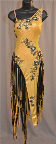 Gold & Black Longe Fringe Latin Dress