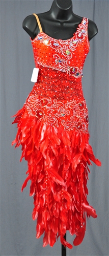 Red Lace Feather Dress Latin Dress