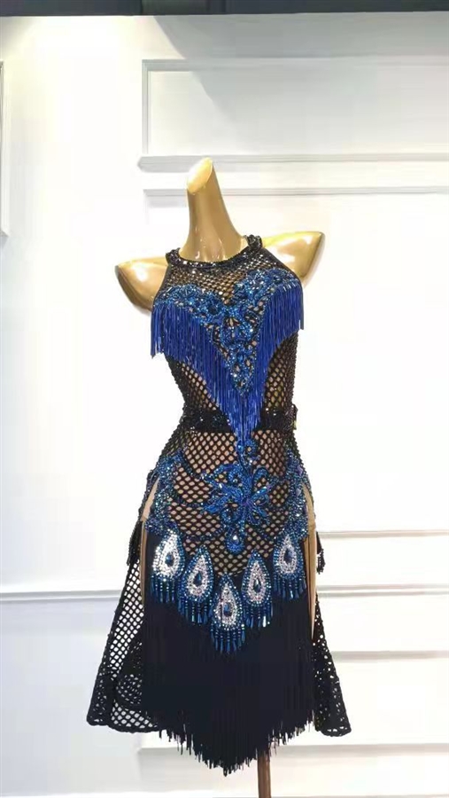 Sexy & Fun  Blue Net Latin Dress
