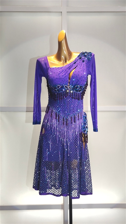 Elegant Fun purple and Black Jewelry Net Latin Dress
