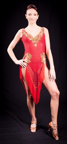 See Through Net Red Fringe Latin Dress