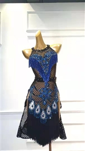 Sexy & Fun  Blue Net Latin Dress