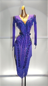 Elegant Fun Purple Beaded and Fringe Latin Dress