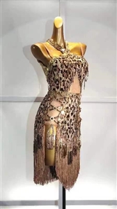 Sexy and Fun Gold Leopard print Net and Fringe Latin Dress