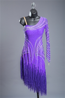 Elegant Purple Fringe Latin Dress