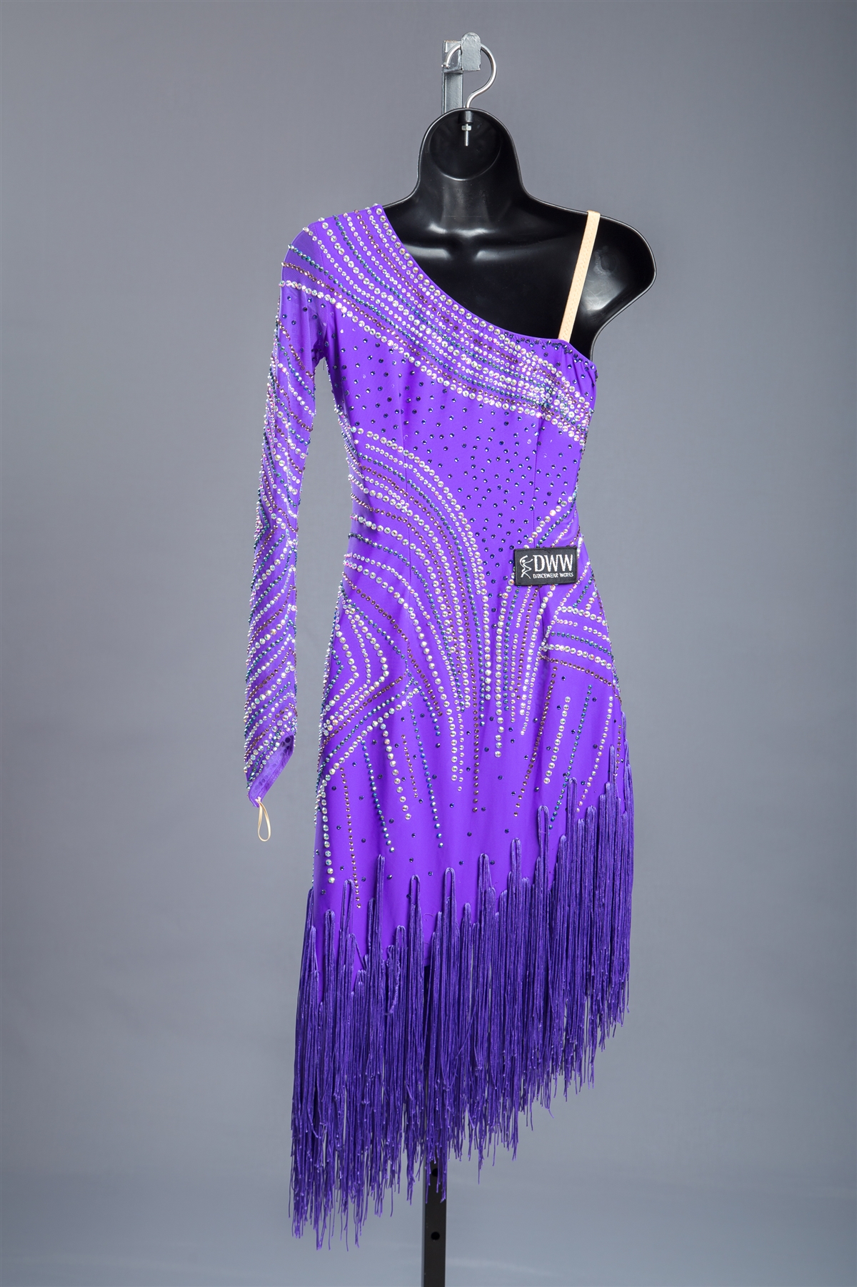 Elegant Purple Fringe Latin Dress